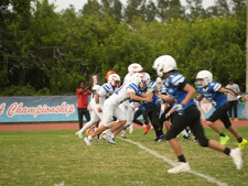 Enlarge photo 208