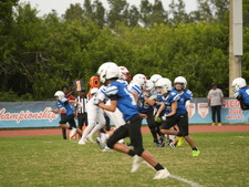 Enlarge photo 210