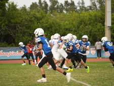 Enlarge photo 212