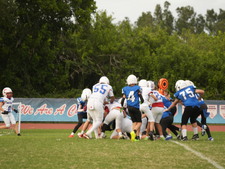 Enlarge photo 216