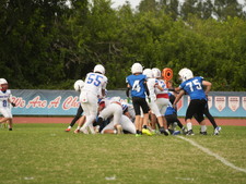 Enlarge photo 218