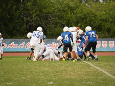 Enlarge photo 217