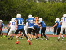 Enlarge photo 229