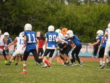 Enlarge photo 230