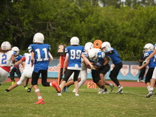 Enlarge photo 231