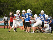 Enlarge photo 234