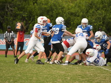 Enlarge photo 235