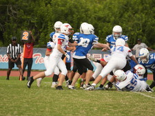Enlarge photo 236
