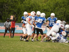Enlarge photo 237