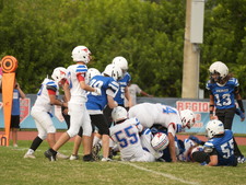 Enlarge photo 238