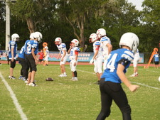 Enlarge photo 242