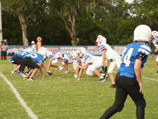 Enlarge photo 243