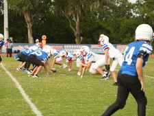 Enlarge photo 245