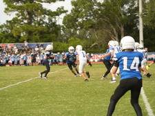 Enlarge photo 253