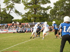 Enlarge photo 259