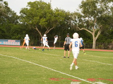 Enlarge photo 262