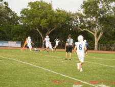 Enlarge photo 263