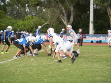 Enlarge photo 268