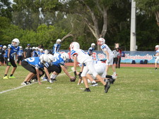 Enlarge photo 269