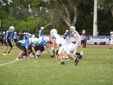 Enlarge photo 270