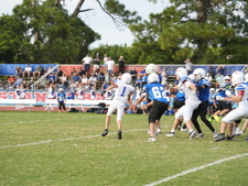 Enlarge photo 273
