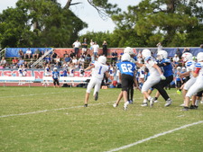 Enlarge photo 274