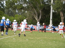 Enlarge photo 275
