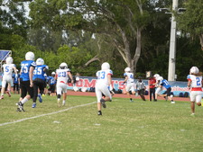 Enlarge photo 277