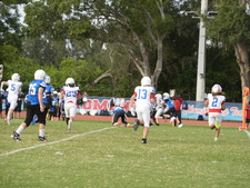 Enlarge photo 280
