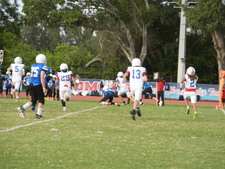 Enlarge photo 281