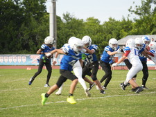 Enlarge photo 335