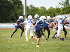 Enlarge photo 337