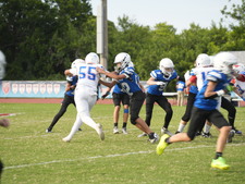 Enlarge photo 338