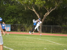 Enlarge photo 341