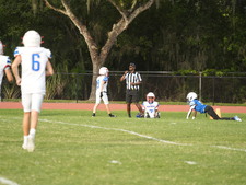 Enlarge photo 349