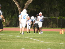 Enlarge photo 353