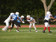 Enlarge photo 379