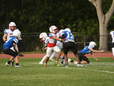 Enlarge photo 383