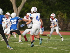 Enlarge photo 386