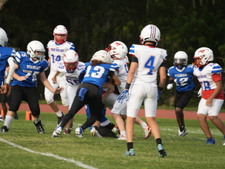 Enlarge photo 389