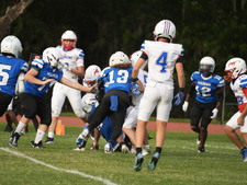 Enlarge photo 391