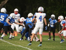 Enlarge photo 392