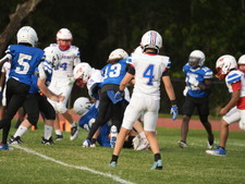 Enlarge photo 393