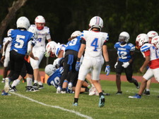 Enlarge photo 394