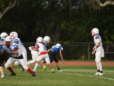Enlarge photo 417