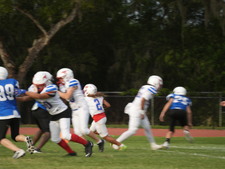 Enlarge photo 419