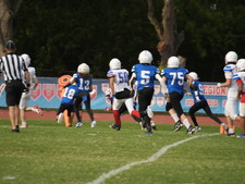 Enlarge photo 433