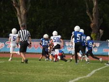 Enlarge photo 436