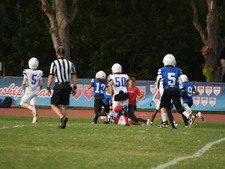 Enlarge photo 437