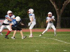 Enlarge photo 450